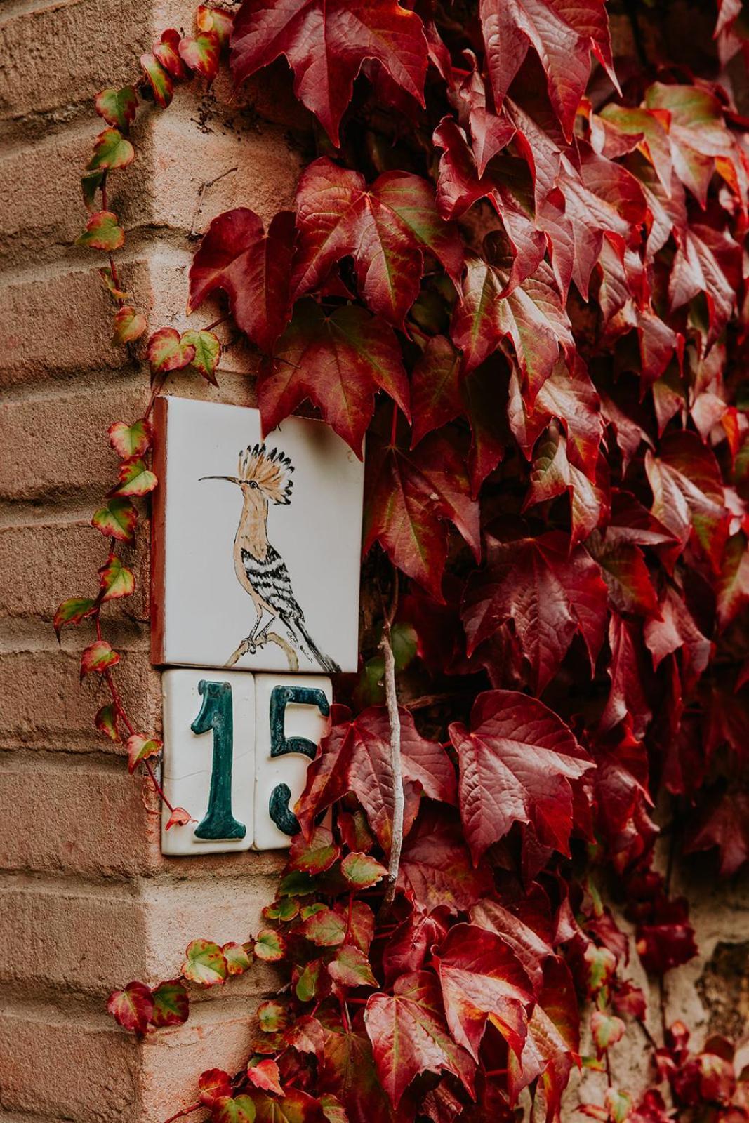 Apartamento Ginestriccio Bibbona Exterior foto